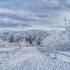 Schneevergnügen auf dem Feldberg im Taunus