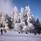 Schneevergnügen im richtigen Licht