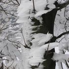 Schneeverwehung am Baum
