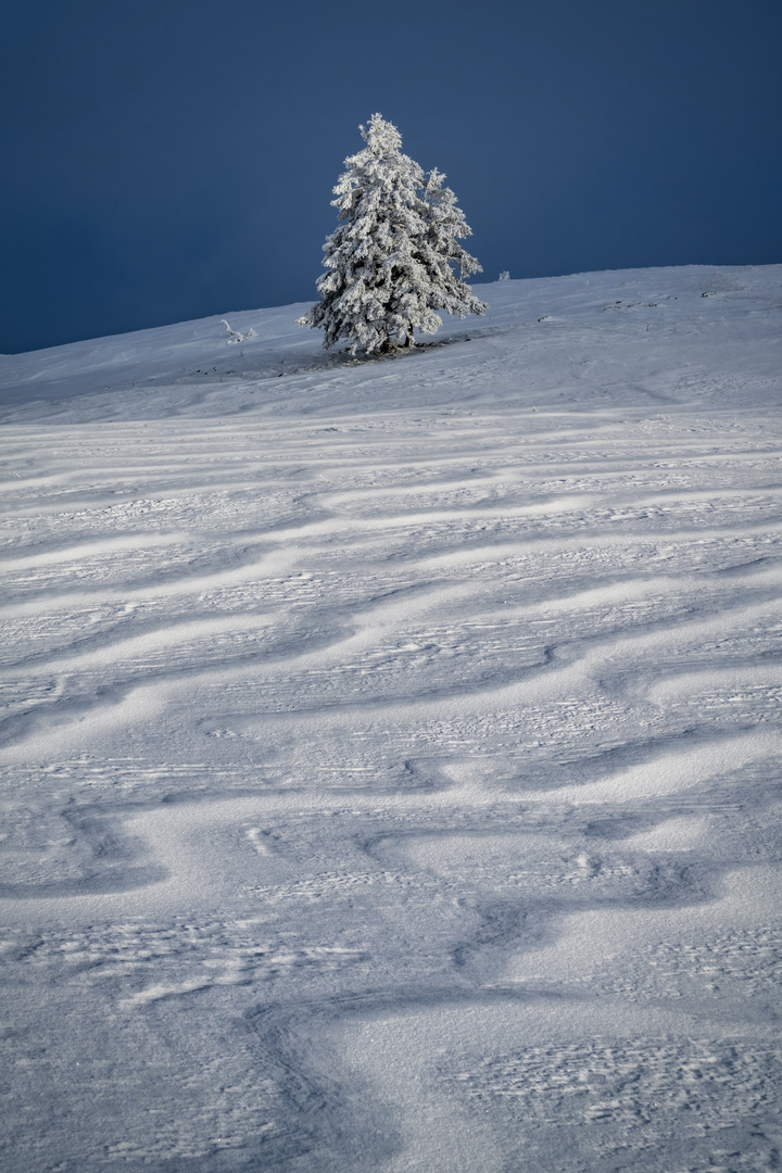 Schneeverwehungen