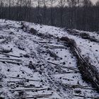 Schneevisite im Bergischen Land 2