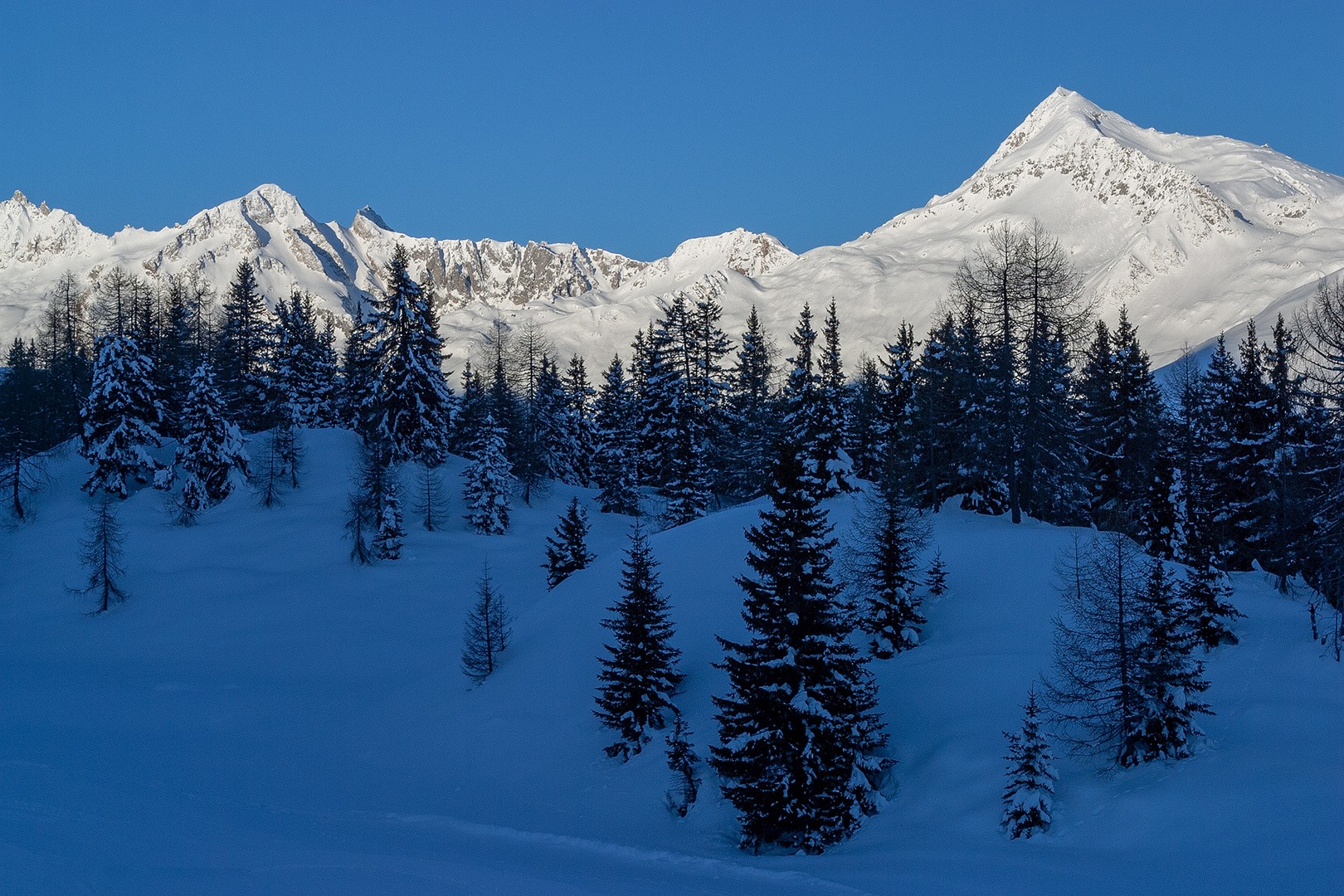 schneewärts