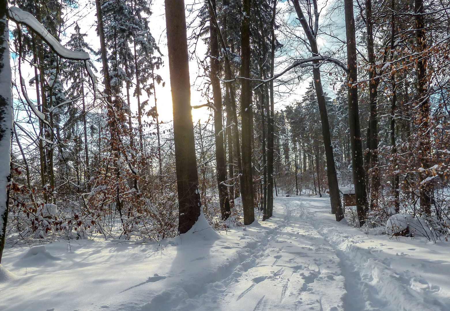 Schneewald