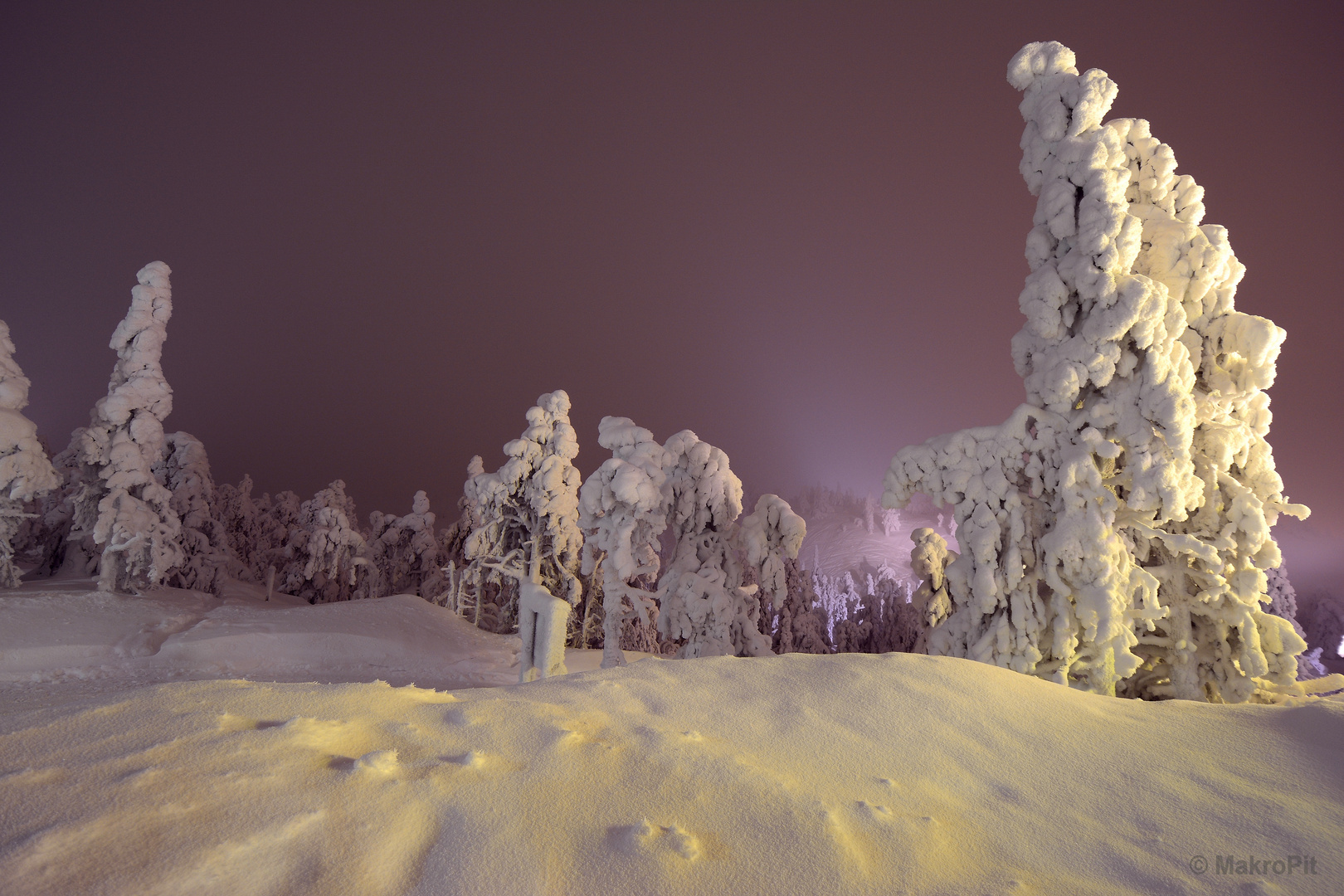 Schneewald am Ruka (II)