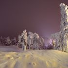 Schneewald am Ruka (II)