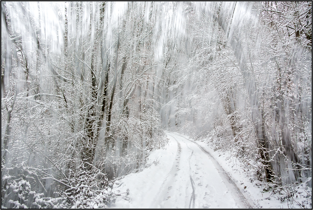 Schneewald