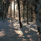 Schneewald im Sauerland