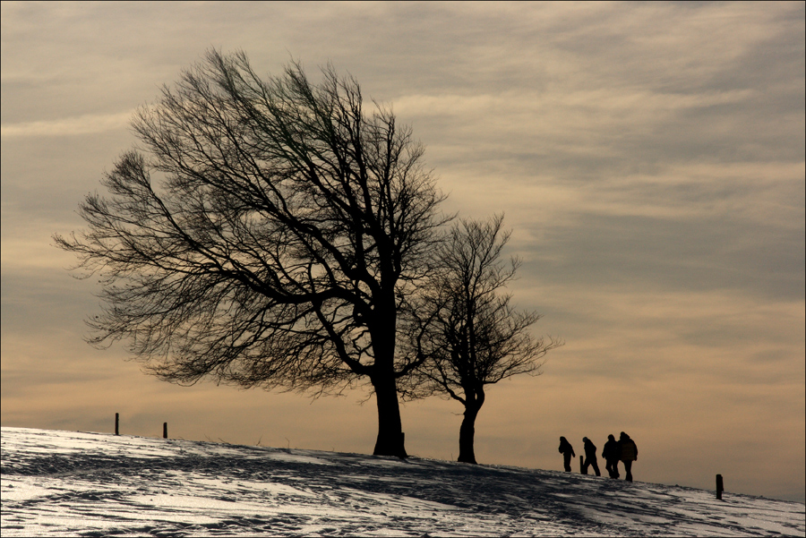 Schneewanderer...