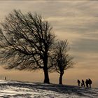 Schneewanderer...