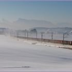 Schneewandern in Salzburg I