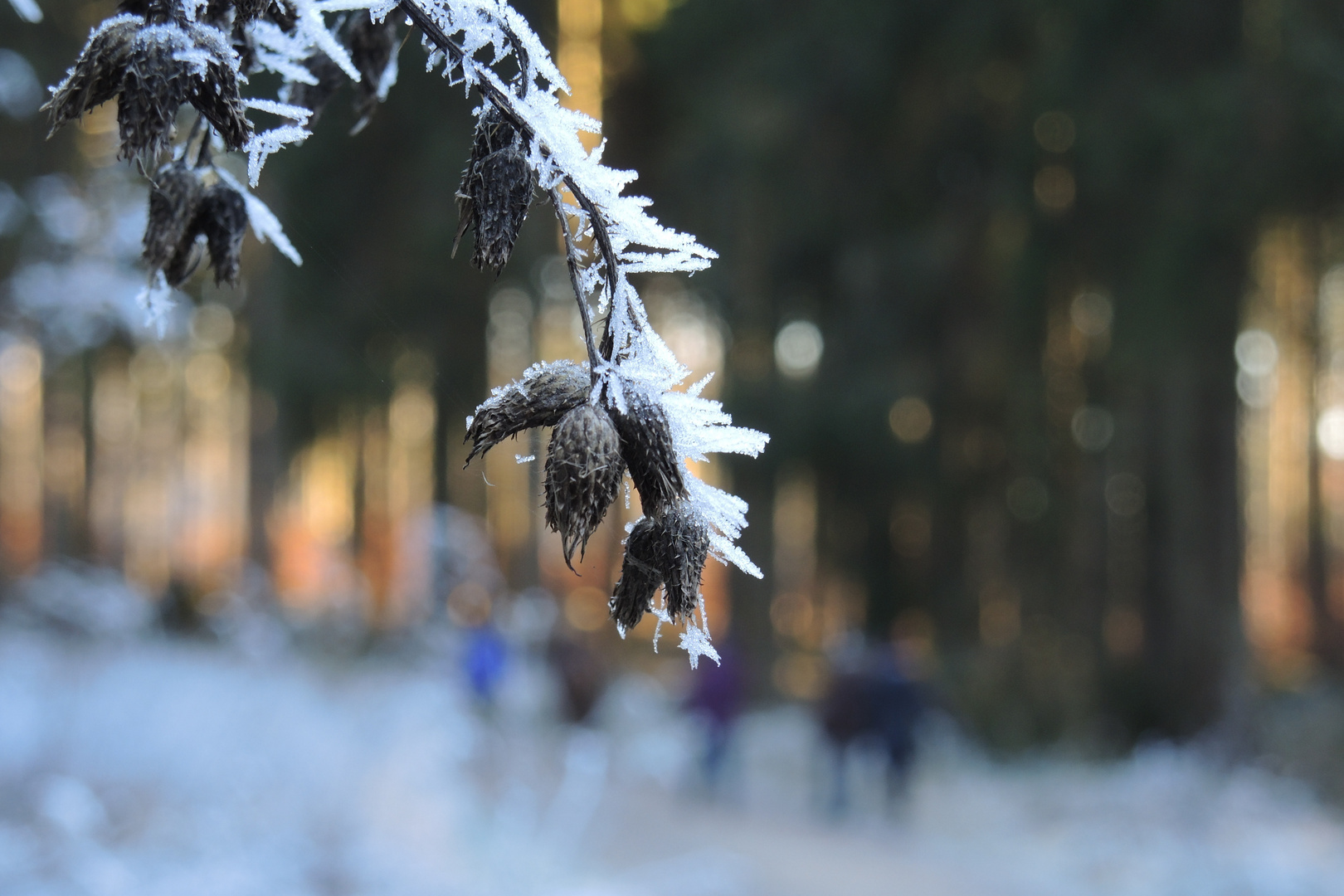 Schneewanderung