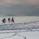 Schneewanderung am Sschauinsland