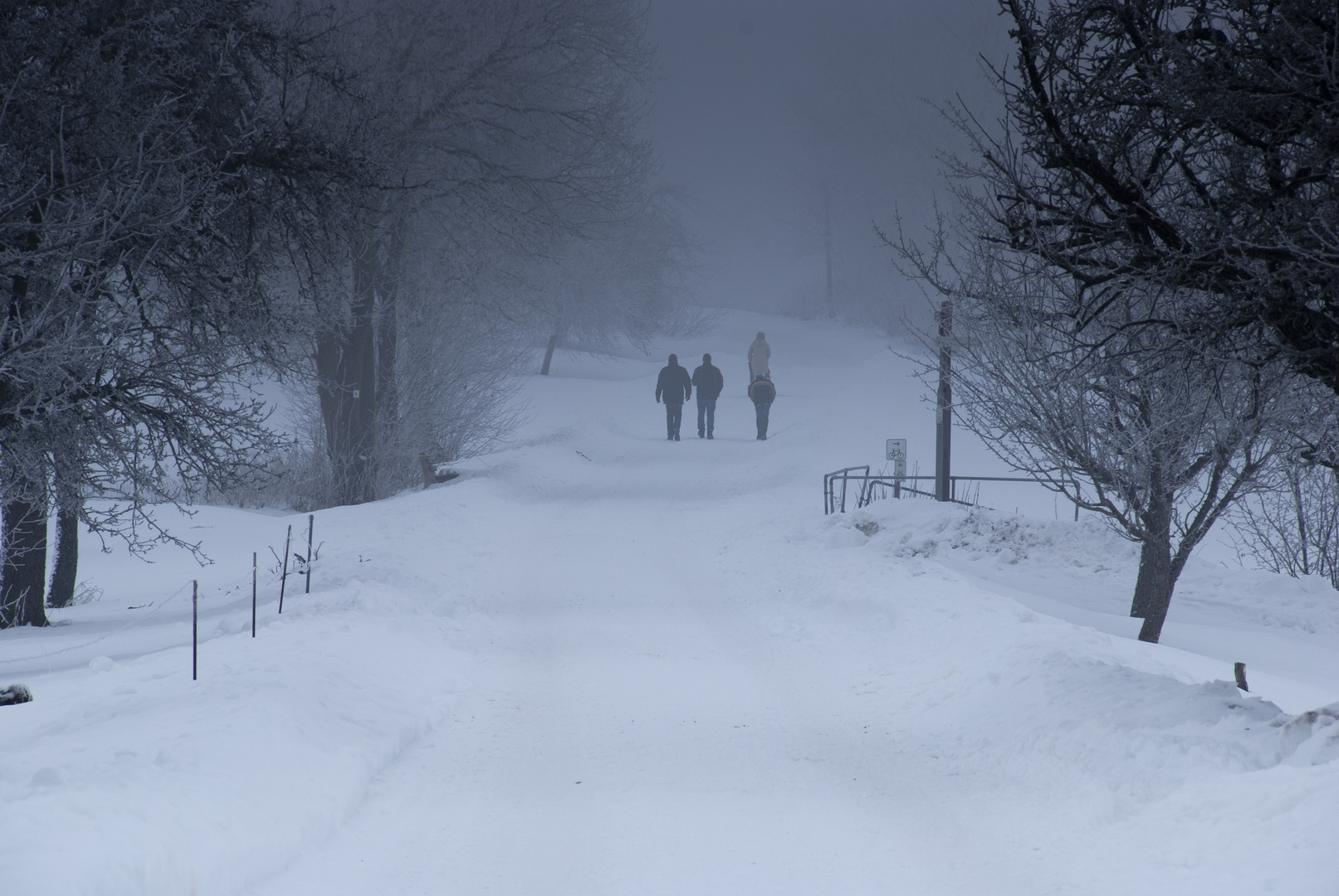 Schneewanderung im Nebel