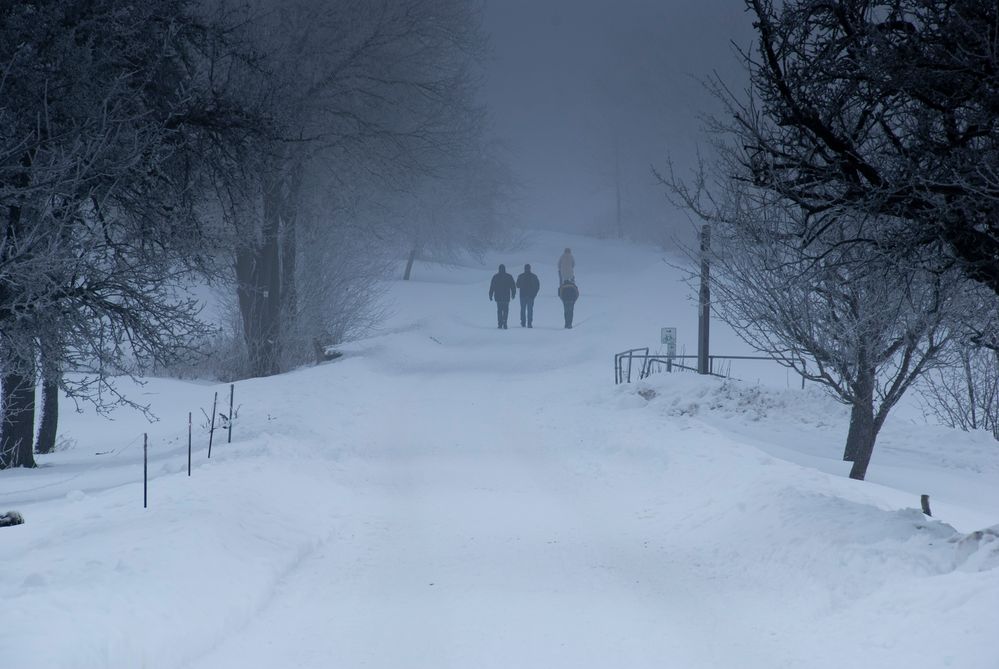 Schneewanderung im Nebel