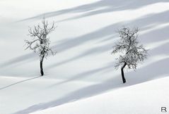 Schneewanderung zu zweit