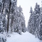 Schneewanderung zum Oberpfalzturm bei Waldershof/Tirschenreuth