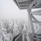 Schneewanderung zum Oberpfalzturm bei Waldershof/Tirschenreuth