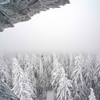 Schneewanderung zum Oberpfalzturm bei Waldershof/Tirschenreuth