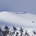 Schneewechte Pfaffenstein Vergrößerung 16.03.2019