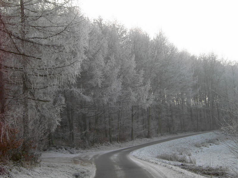 Schneeweg