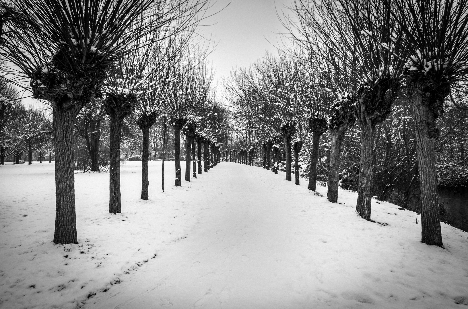 Schneeweg