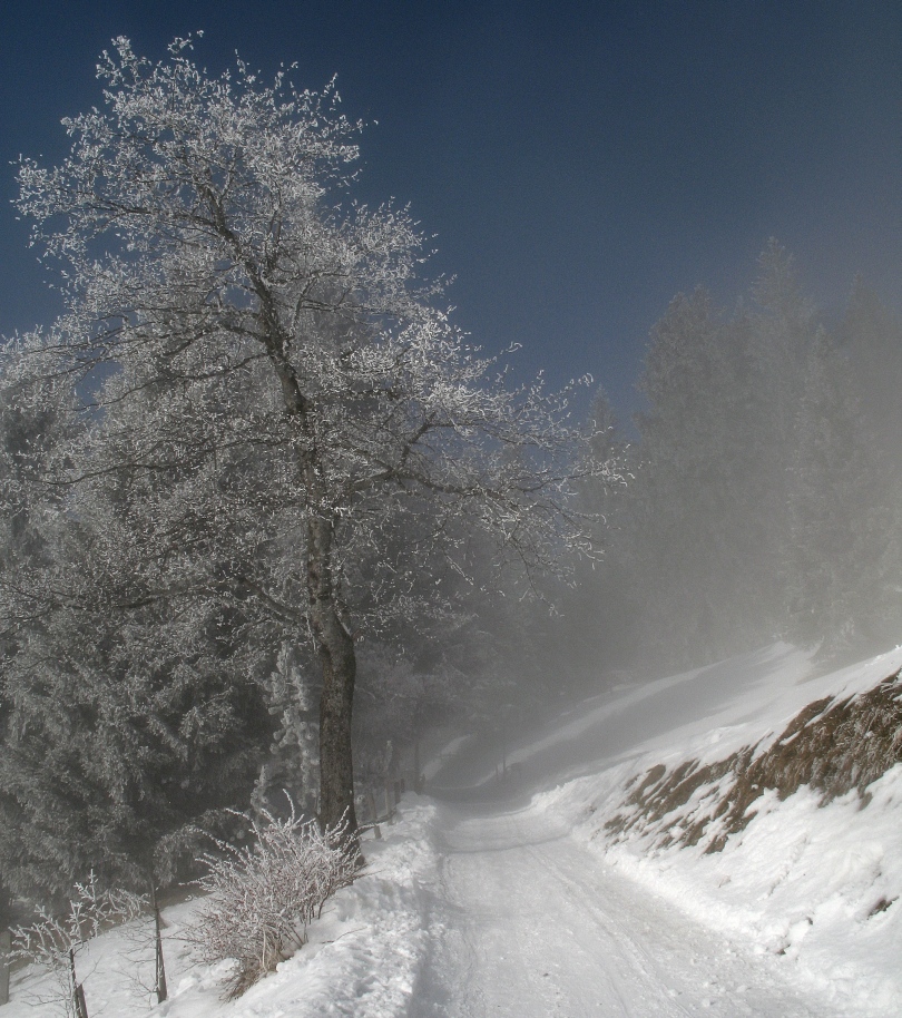 Schneeweg