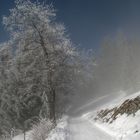 Schneeweg