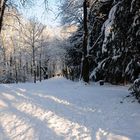 Schneeweg