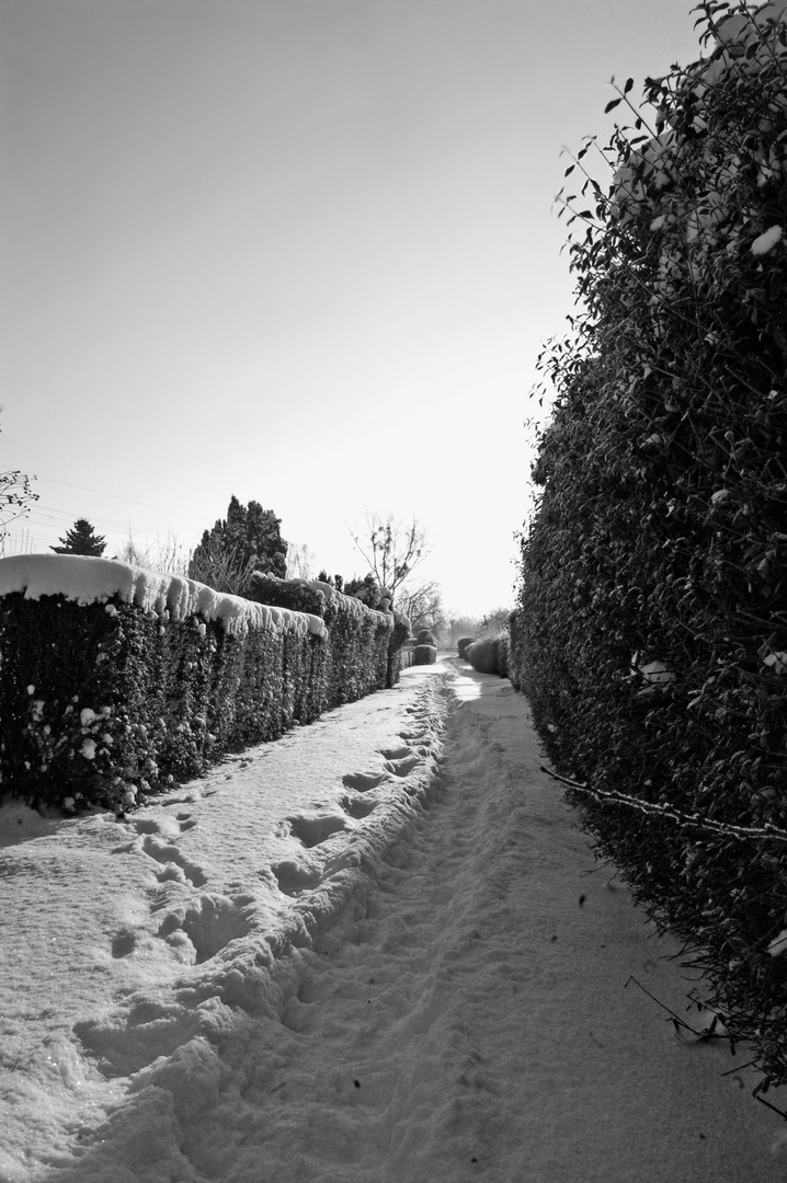 Schneeweg