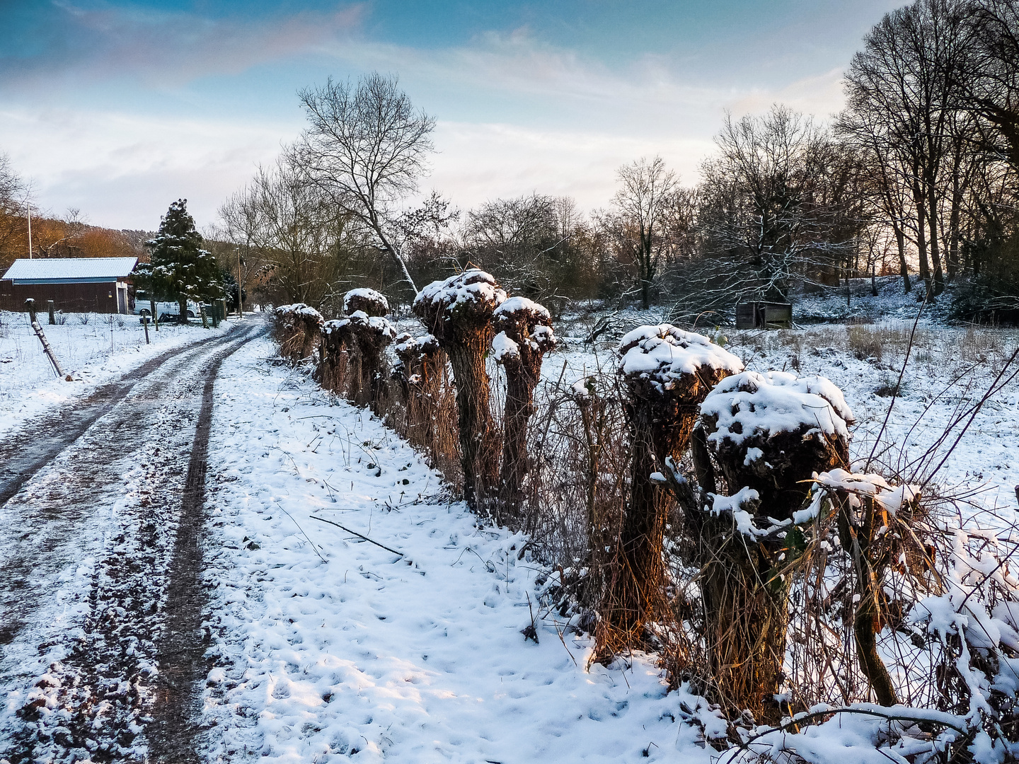 Schneewege 17