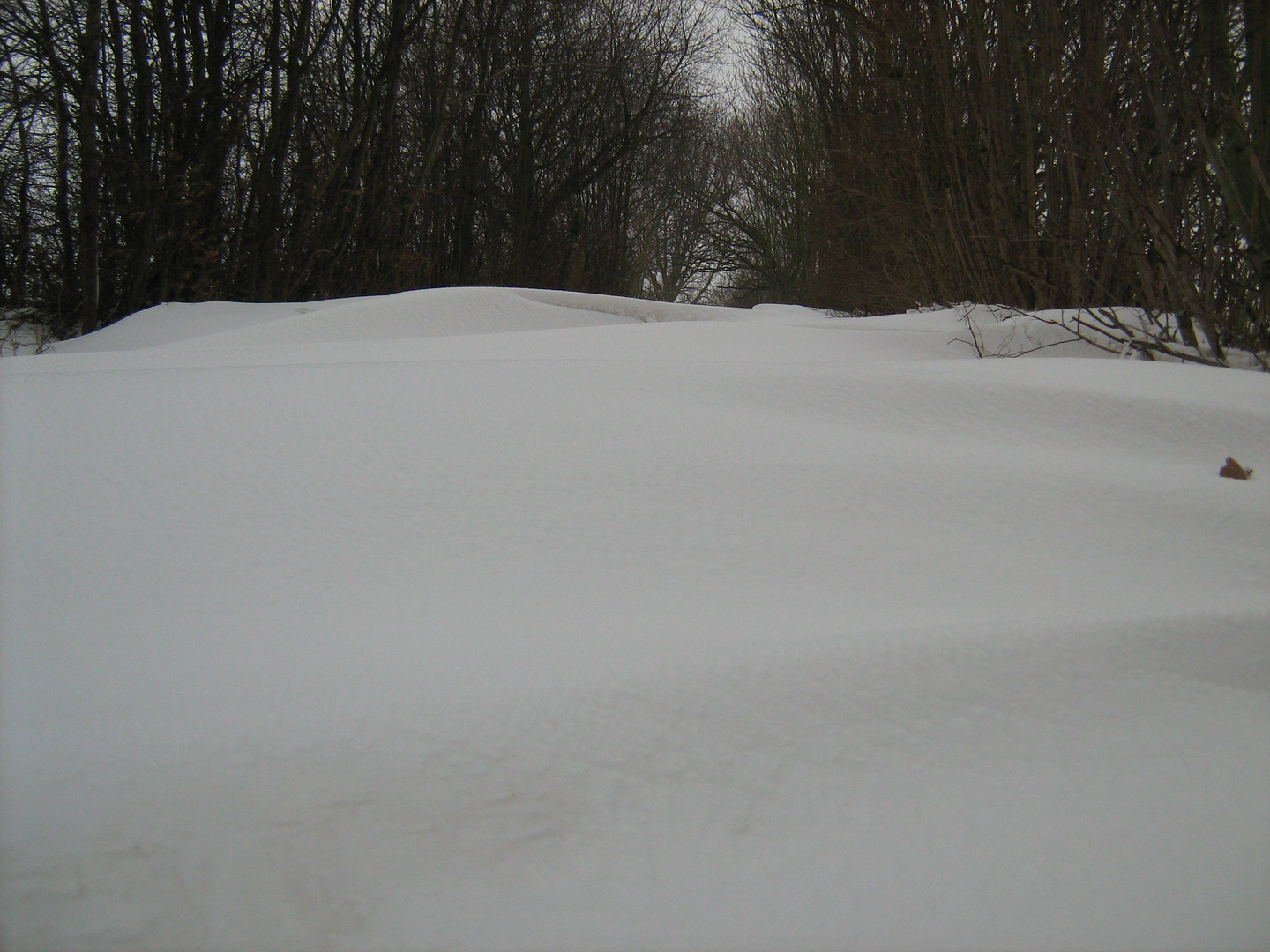 ** Schneewehe ** Foto & Bild jahreszeiten, winter, natur Bilder auf