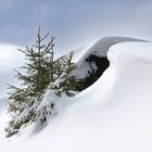 Schneewehen am Fichtelsee 