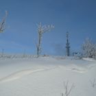 Schneewehen nahe Wilde Wiese