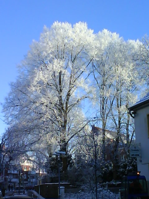 Schneeweiß