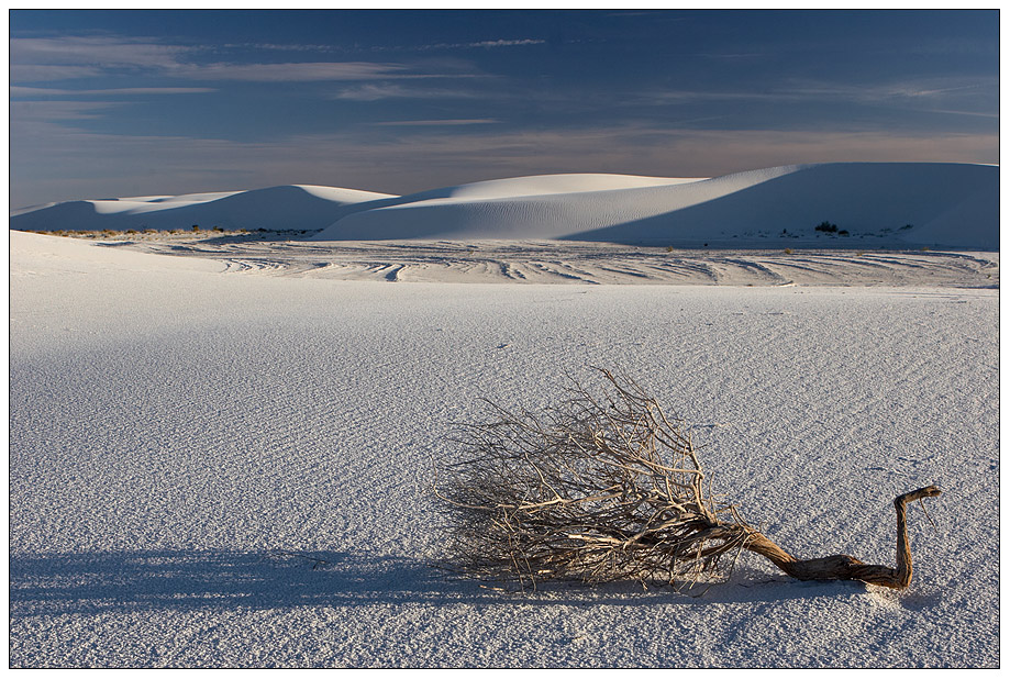 Schneeweiß