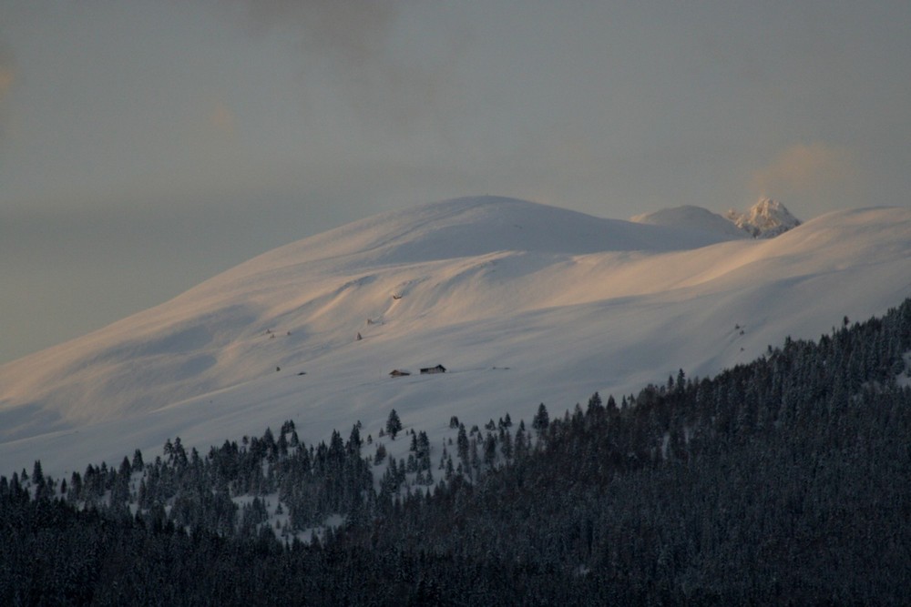 Schneeweiss