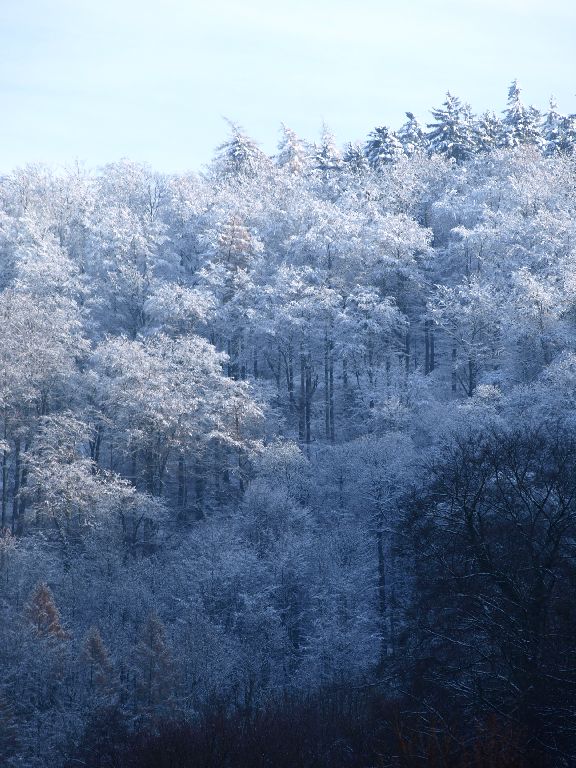 Schneeweiß