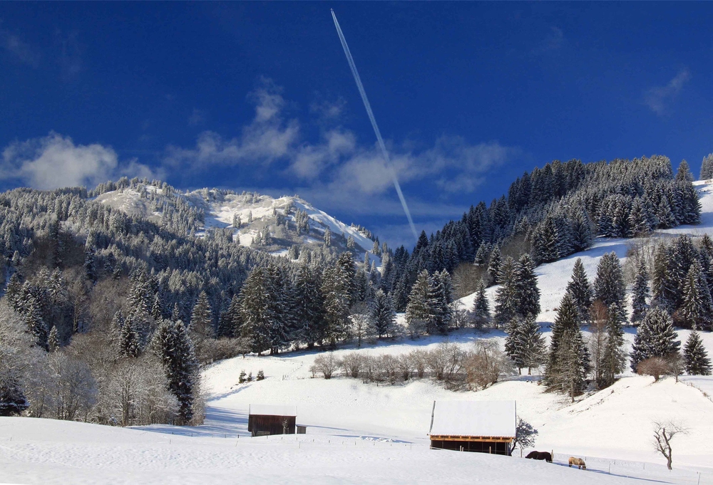 Schneeweiß und Himmelblau