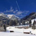 Schneeweiß und Himmelblau