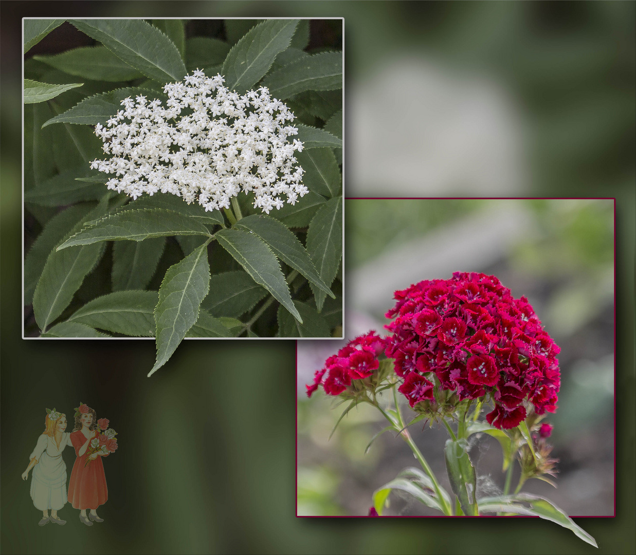 Schneeweißchen & Rosenrot