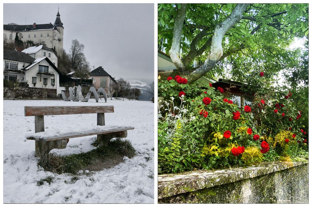 Schneeweißchen und Rosenrot !