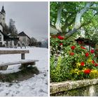 Schneeweißchen und Rosenrot !