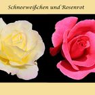 SCHNEEWEIßCHEN UND ROSENROT