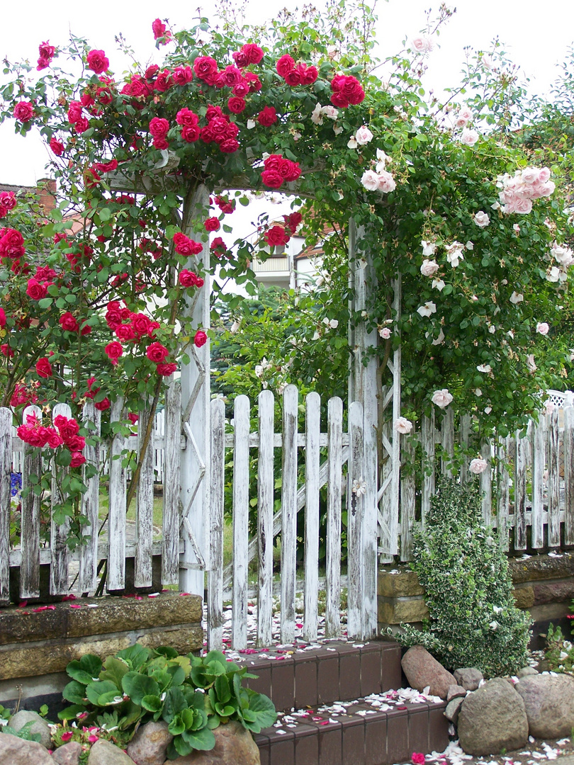 Schneeweißchen und Rosenrot