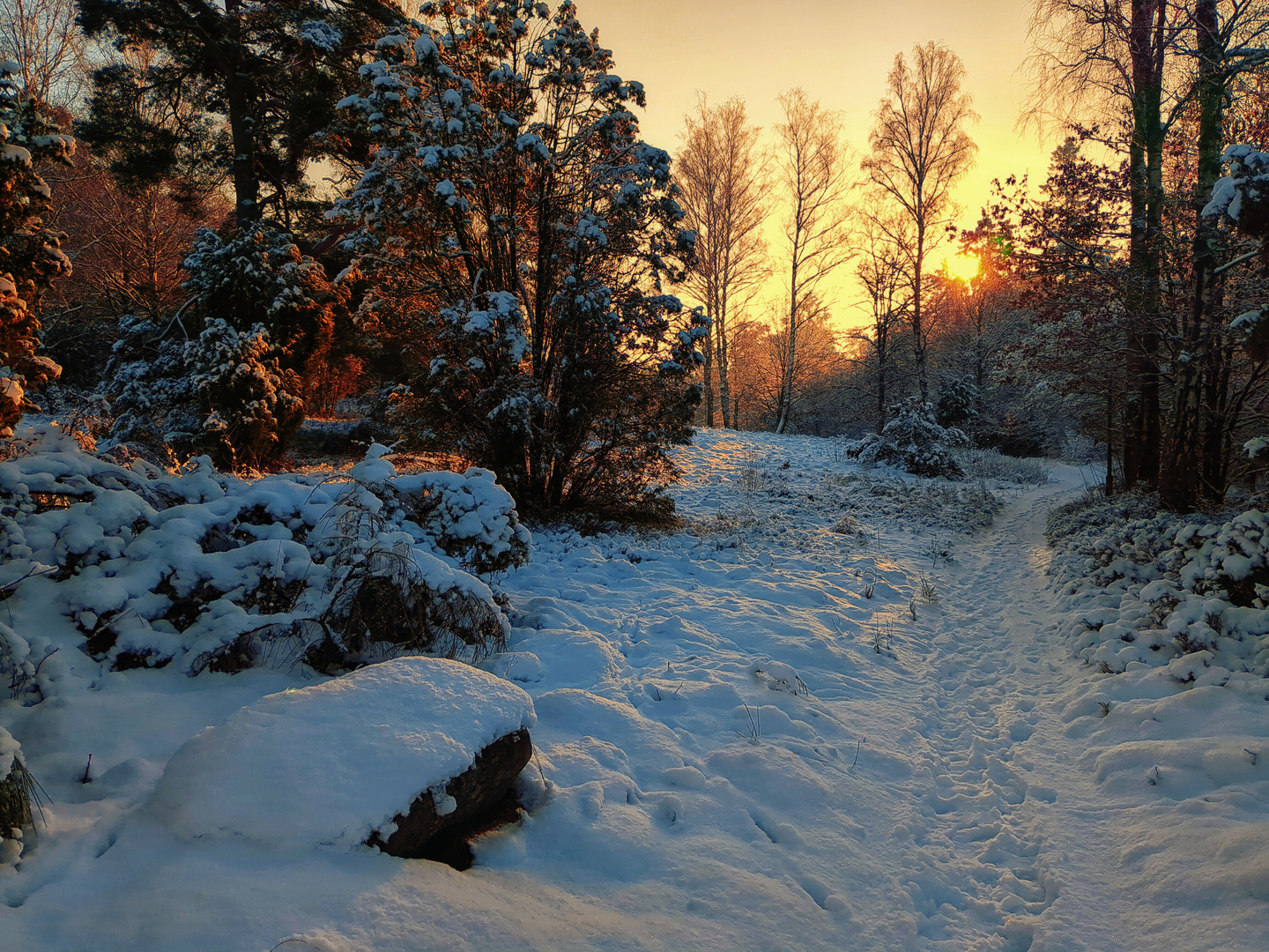 Schneeweißchen und Sonnenrot