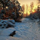 Schneeweißchen und Sonnenrot