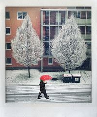 Schneeweißer Donnerstag.