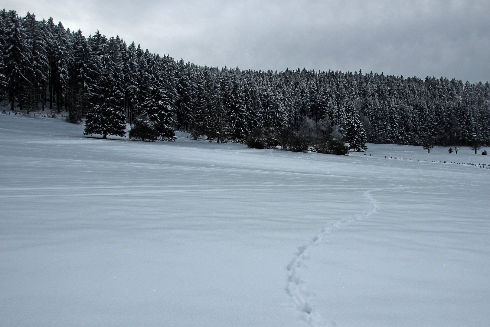 Schneewelt 2013 Brilon