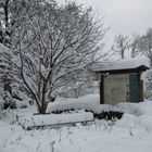 Schneewelt Schaugärten