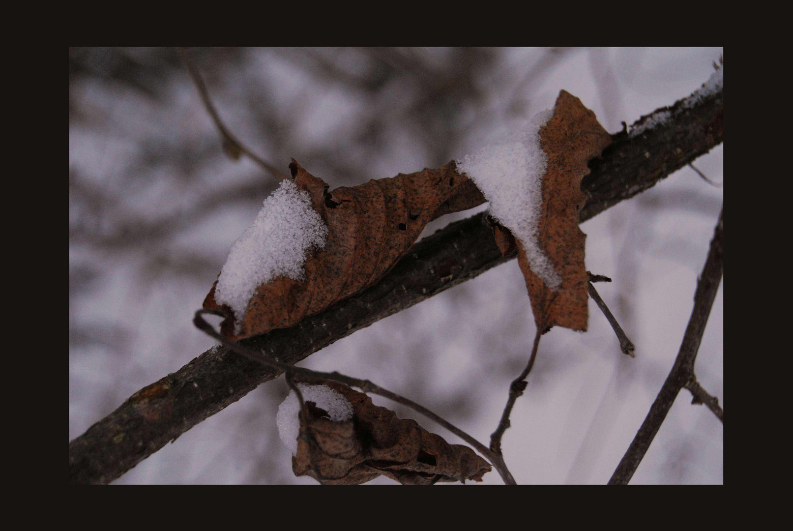 Schneewelten